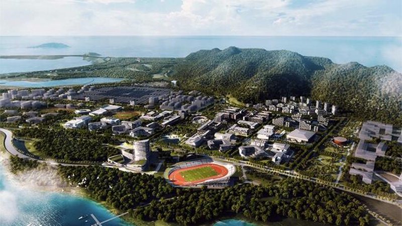 数字之风：海南电子科技公司的崛起